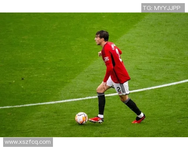 波黑与塞内加尔足球对决深度分析及战术解析