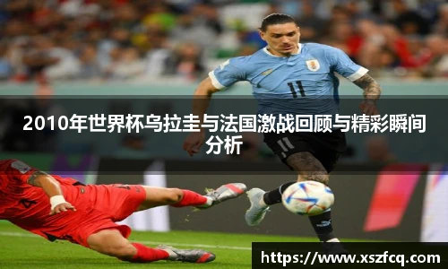 2010年世界杯乌拉圭与法国激战回顾与精彩瞬间分析